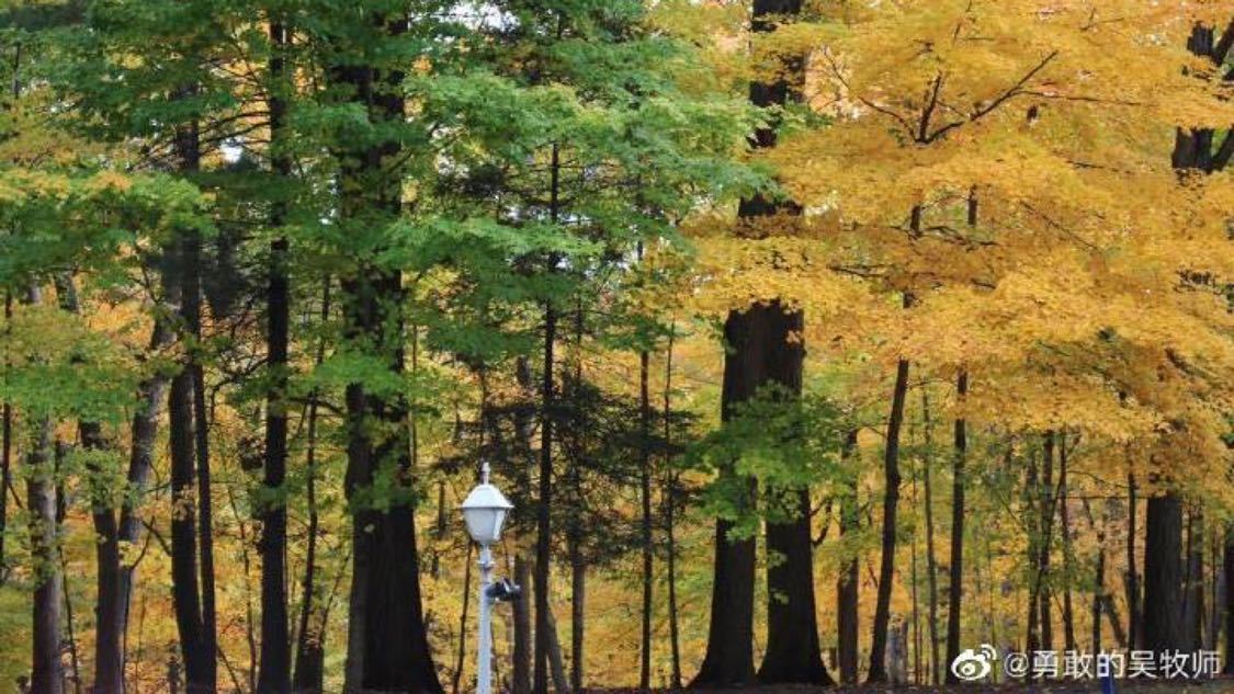 快手低价涨赞中心：网络流量变现实战经验分享